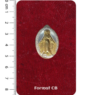 Miraculous Medal in Silver-Plated Stainless Steel 30x20mm 